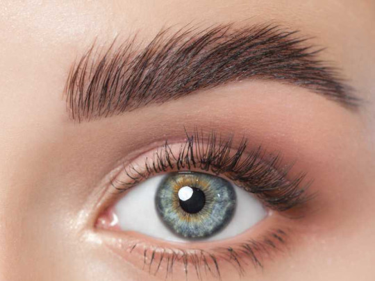 cejas-laminadas-que-es-como-hacerlas-principal